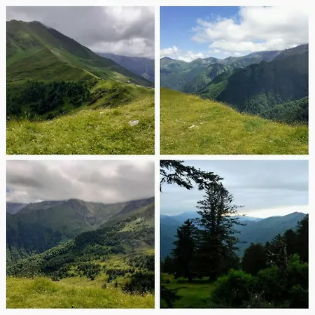 Superbe Ambiance * Ustou