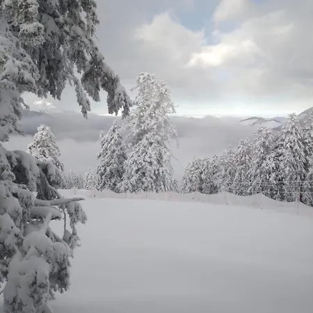 Superbe Ambiance * Ustou