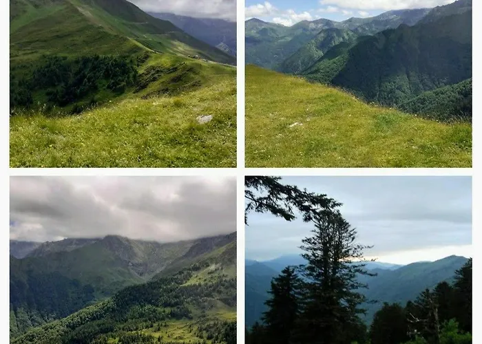 Superbe Ambiance * Ustou