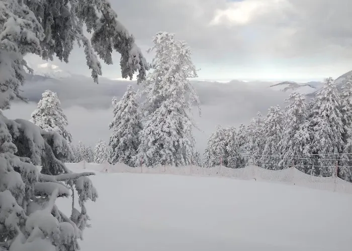 Superbe Ambiance * Ustou